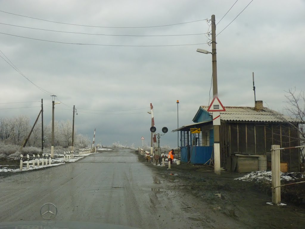 На переезде возле Зверево.