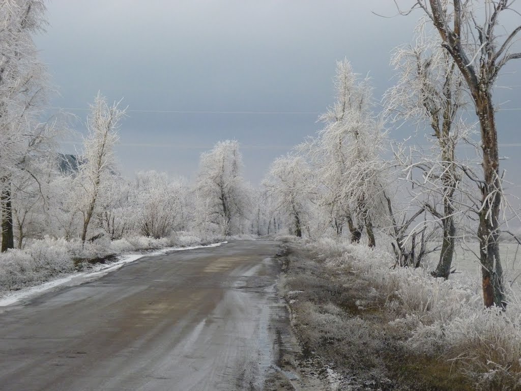 Дорога зимой.