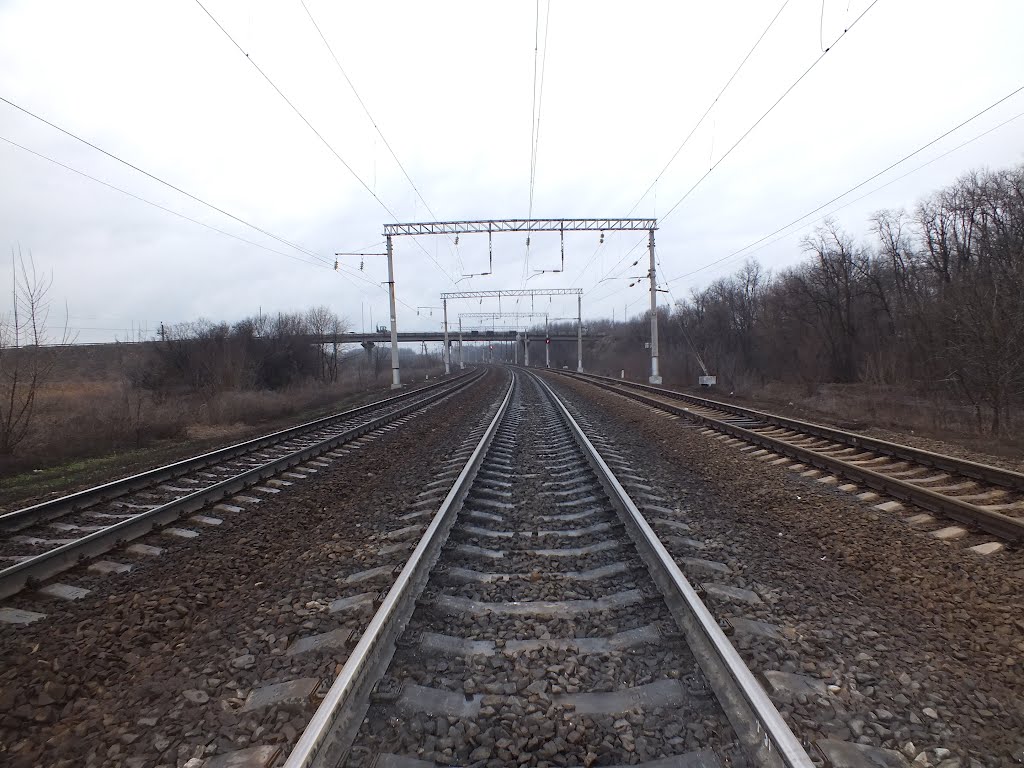 ЖД