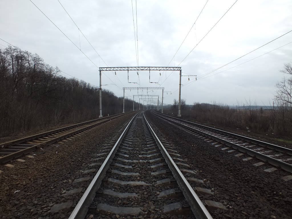 ЖД