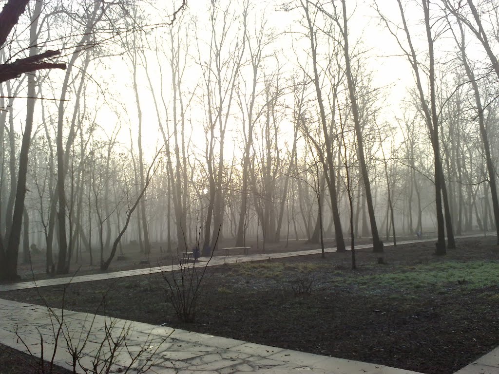 Парк в декабре