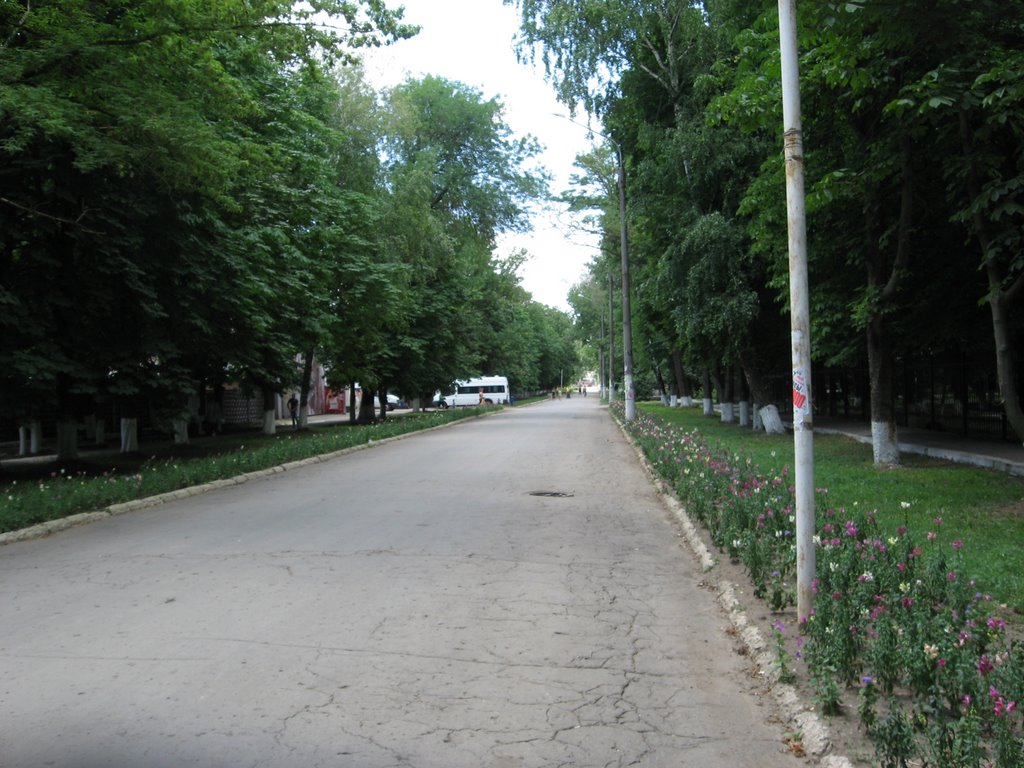 Главная улица