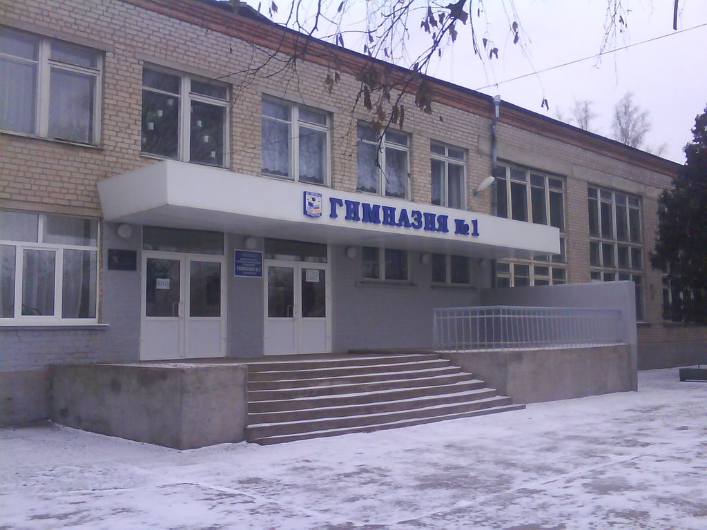Гимназия №1