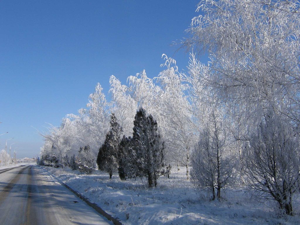 Ул. Березовая 1января 2009 г
