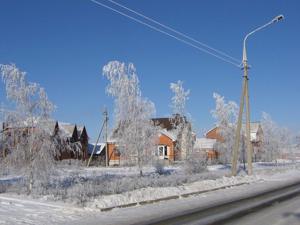 Ул. Березовая