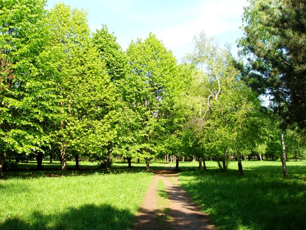 Дендропарк
