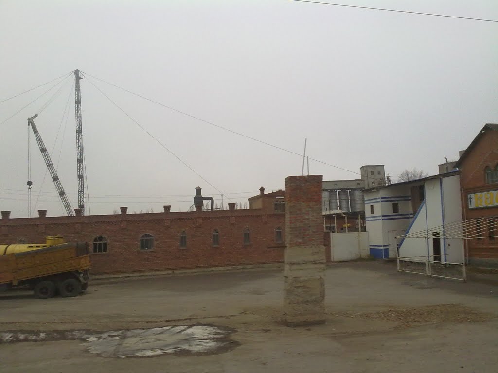 Зимовники