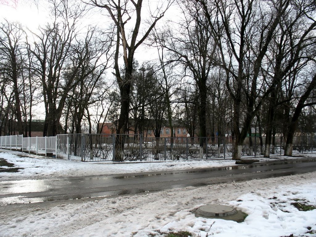ст. Кагальницкая Улица Калинина