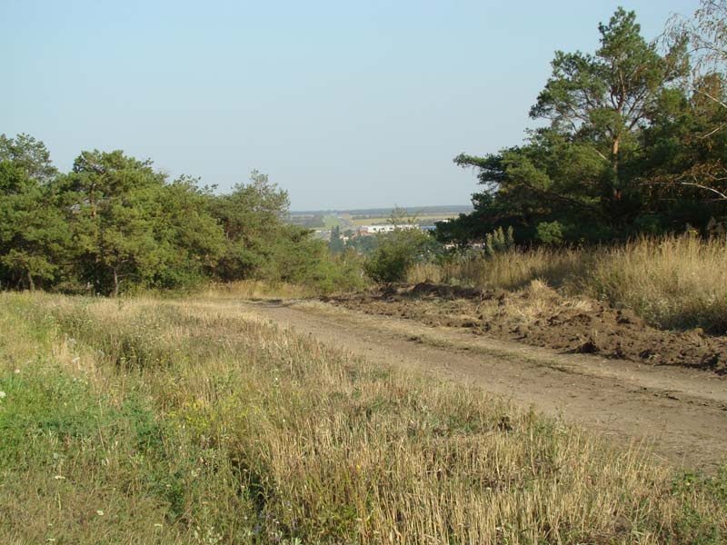 Старая дорога