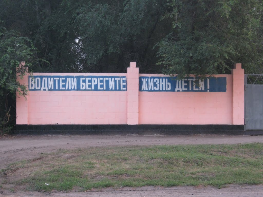 Розовый забор