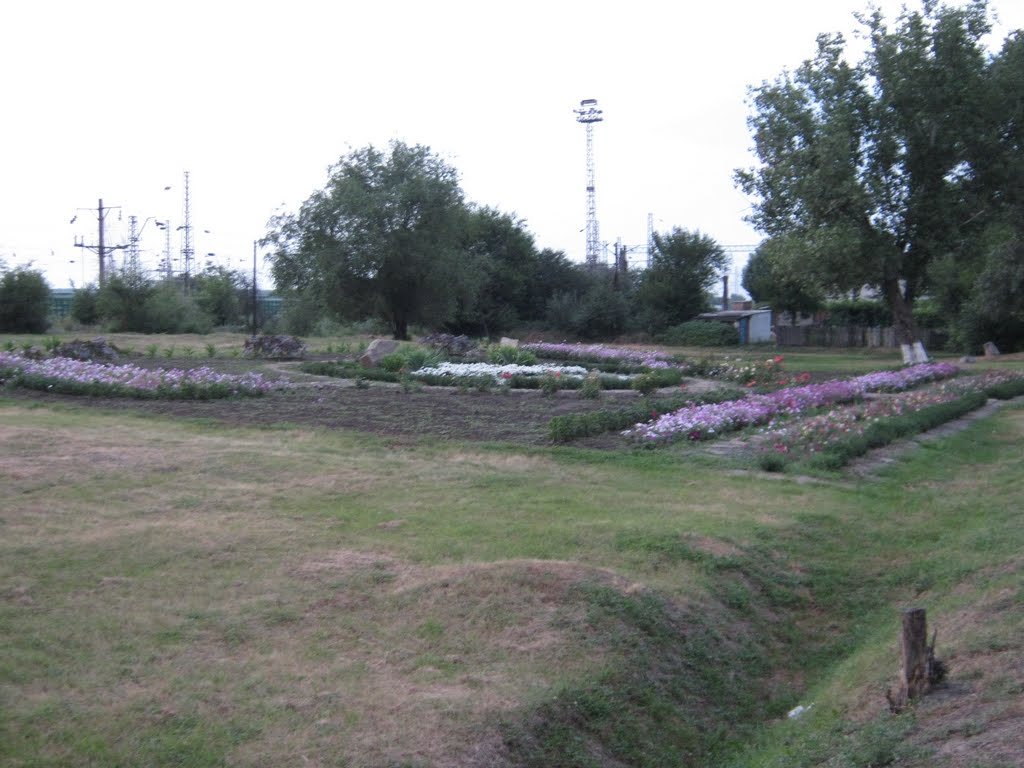 Клумба