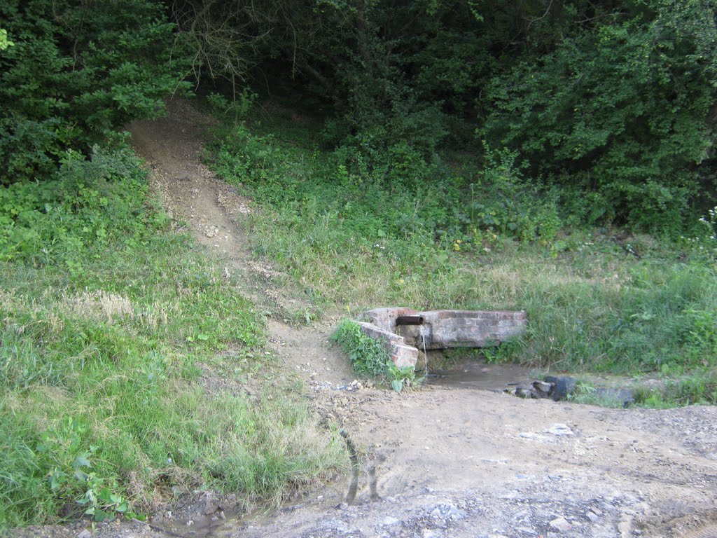 Криница