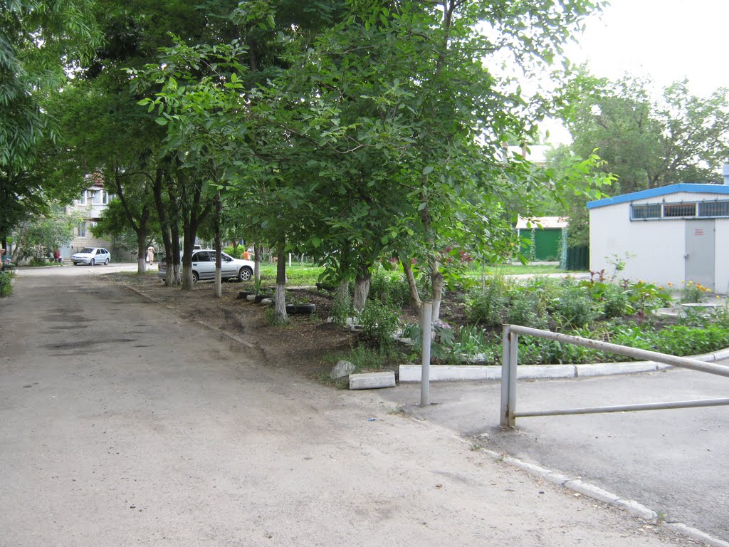 Во дворах