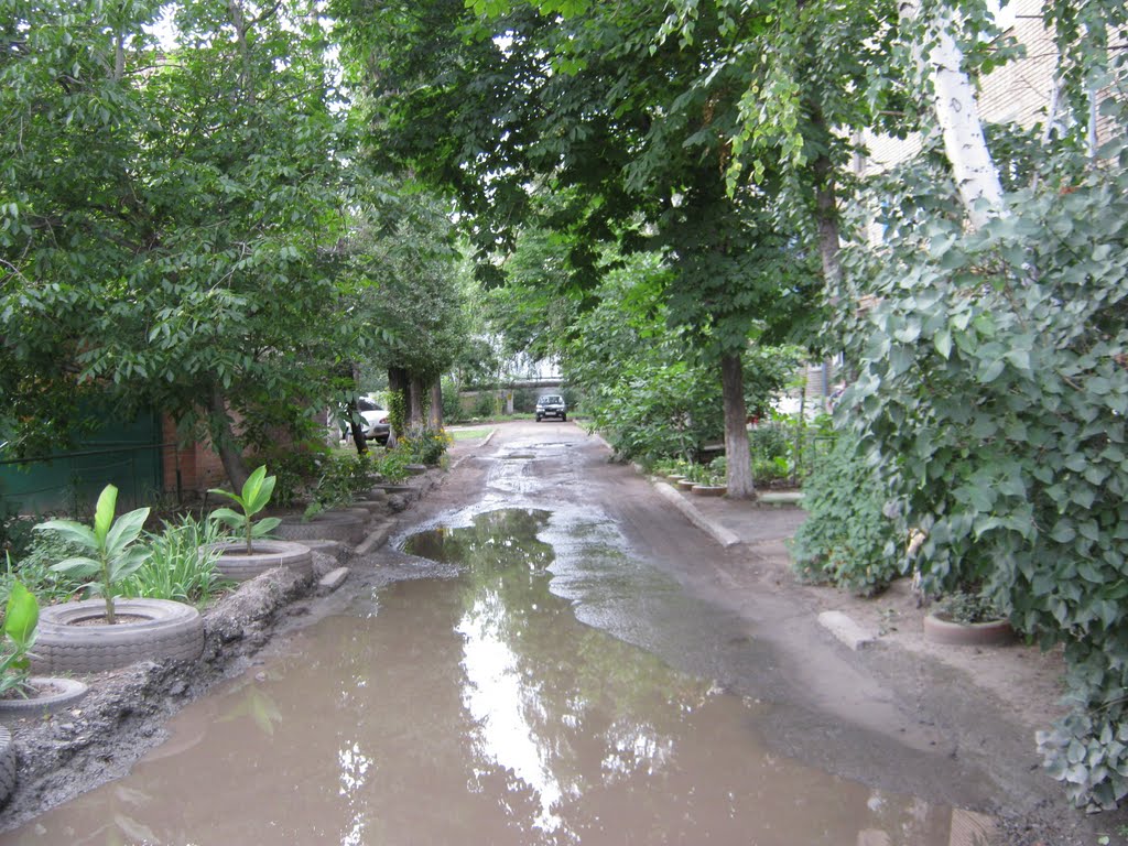 Во дворах