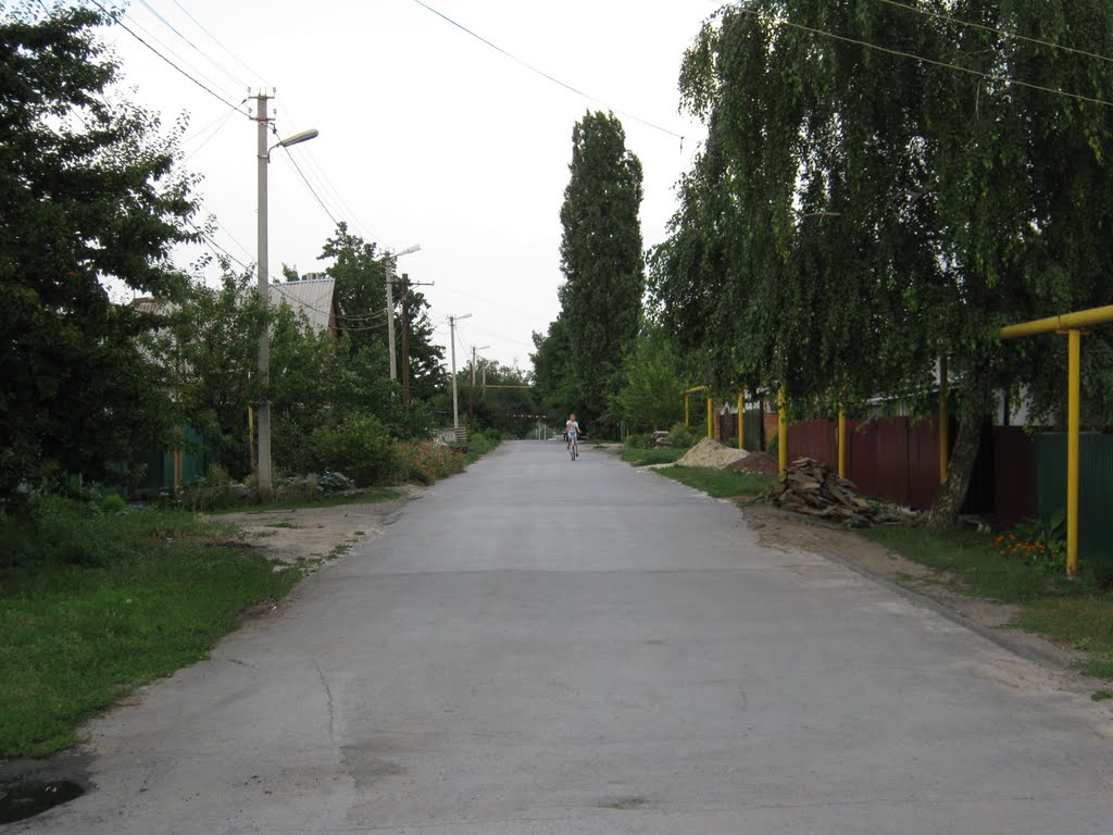 Пер. Луганский