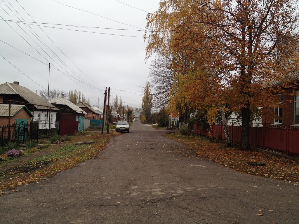 улица Бойко