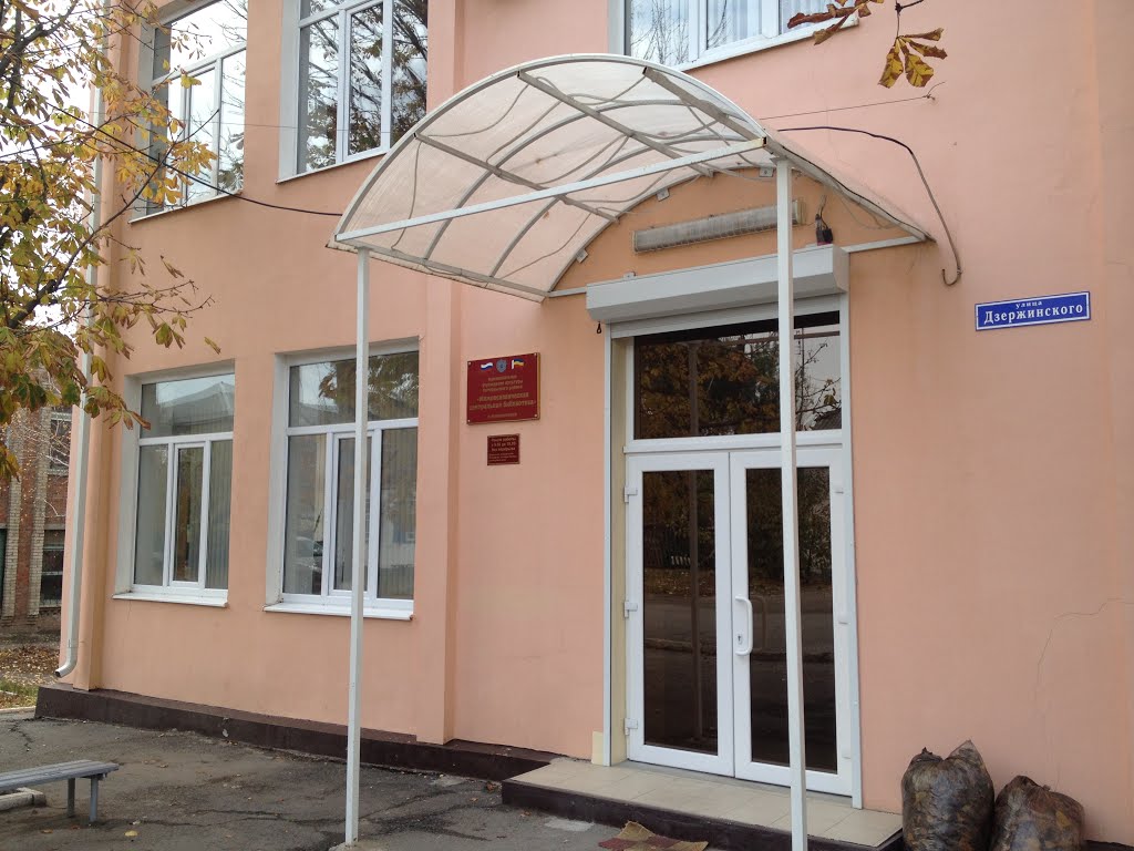 Библиотека