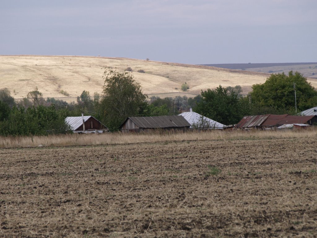 Донская степь