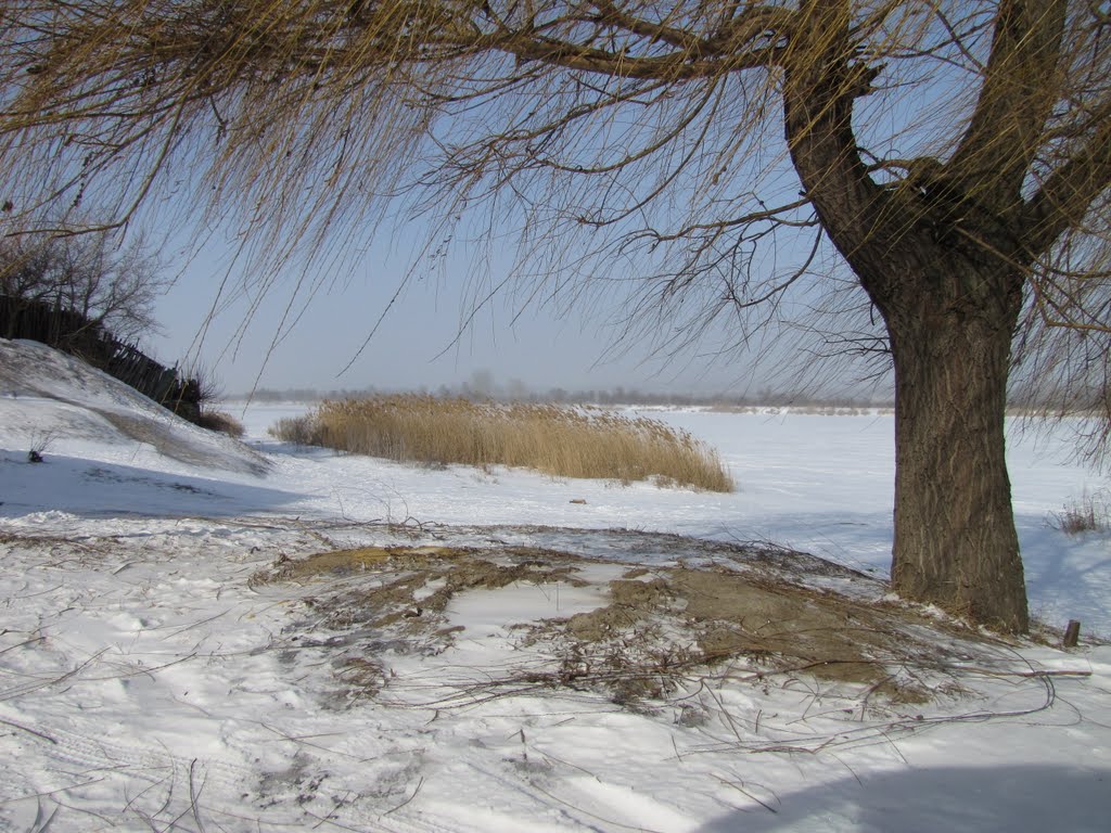 Зима, северский донец, коса