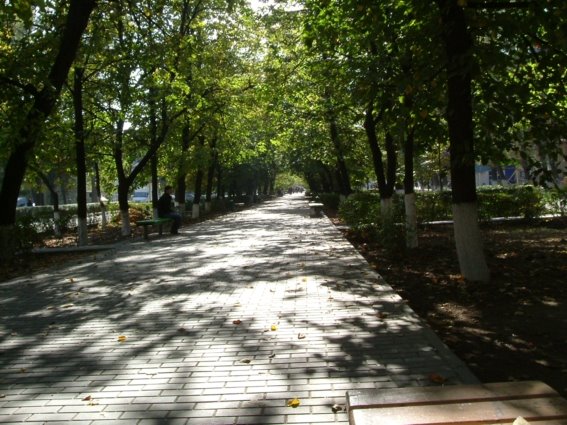 Аллейка(2)