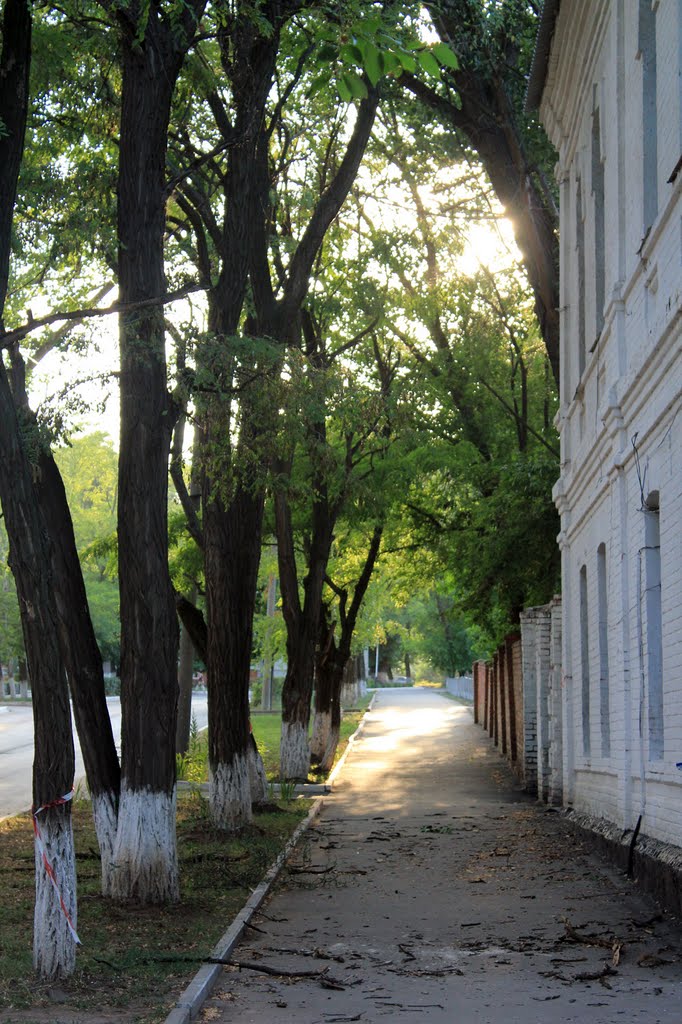 Тихая улочка