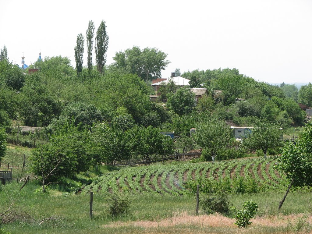 Константиновск. Ул. Буденного / пер. Широкий 2/VI.2007
