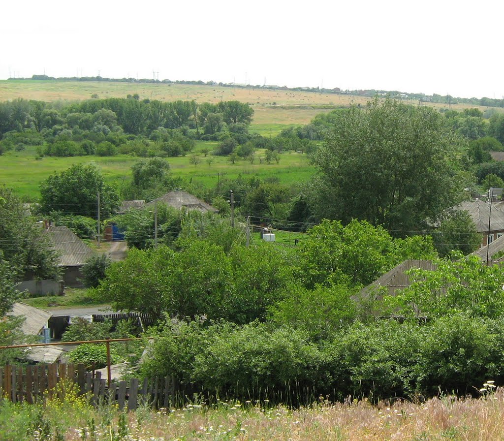 Вид с горы