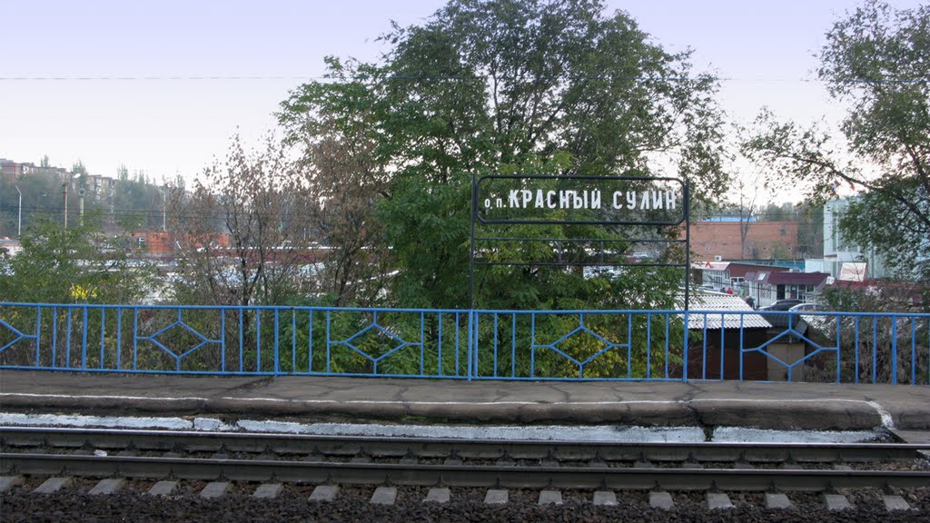 2010_Красный Сулин