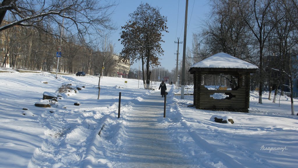 2011_Зима,январь