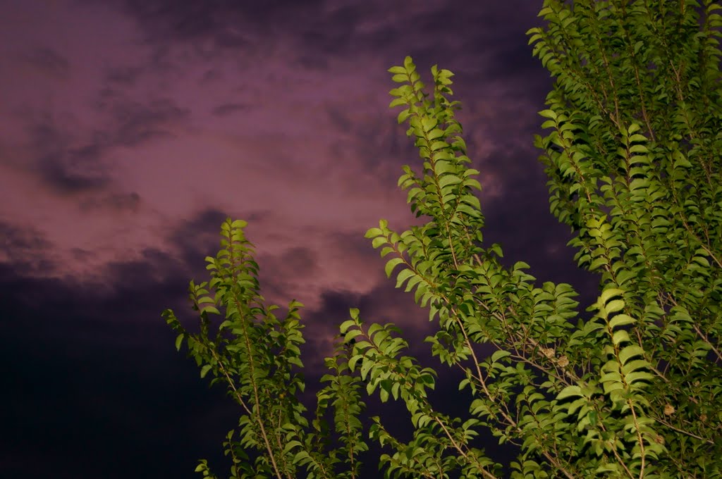 Зловещее Небо, An Ominous Sky