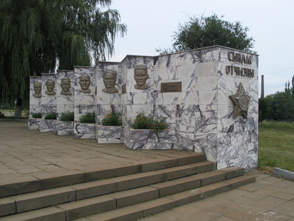 Красный Сулин