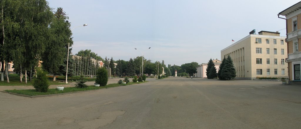 Красный Сулин