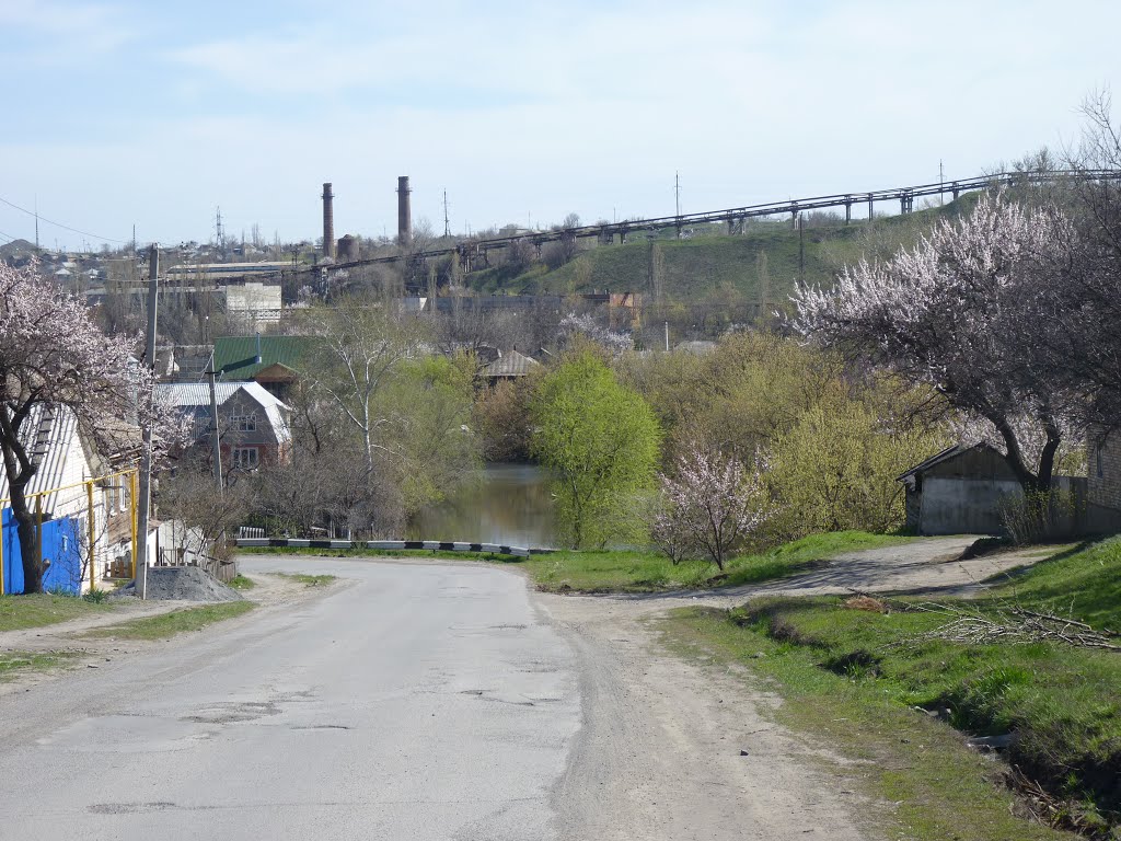 В Красном Сулине.