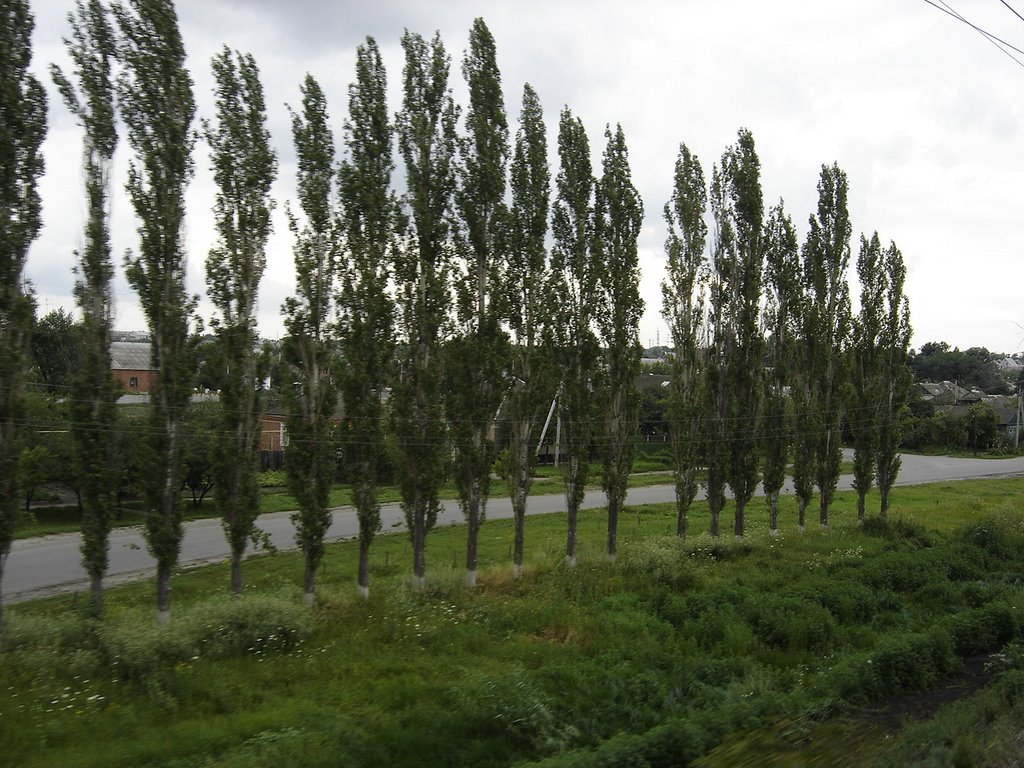 Tarasovskiy