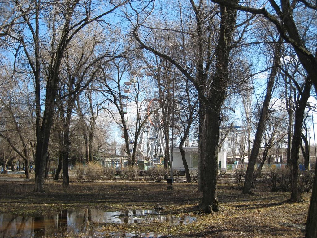 "Чертово колесо" в городском парке