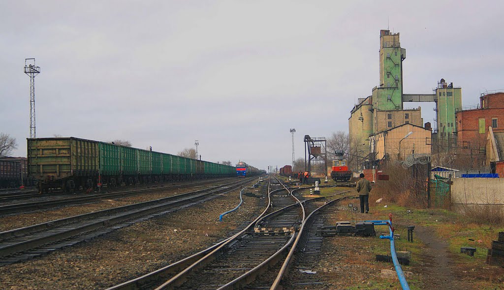 Trains