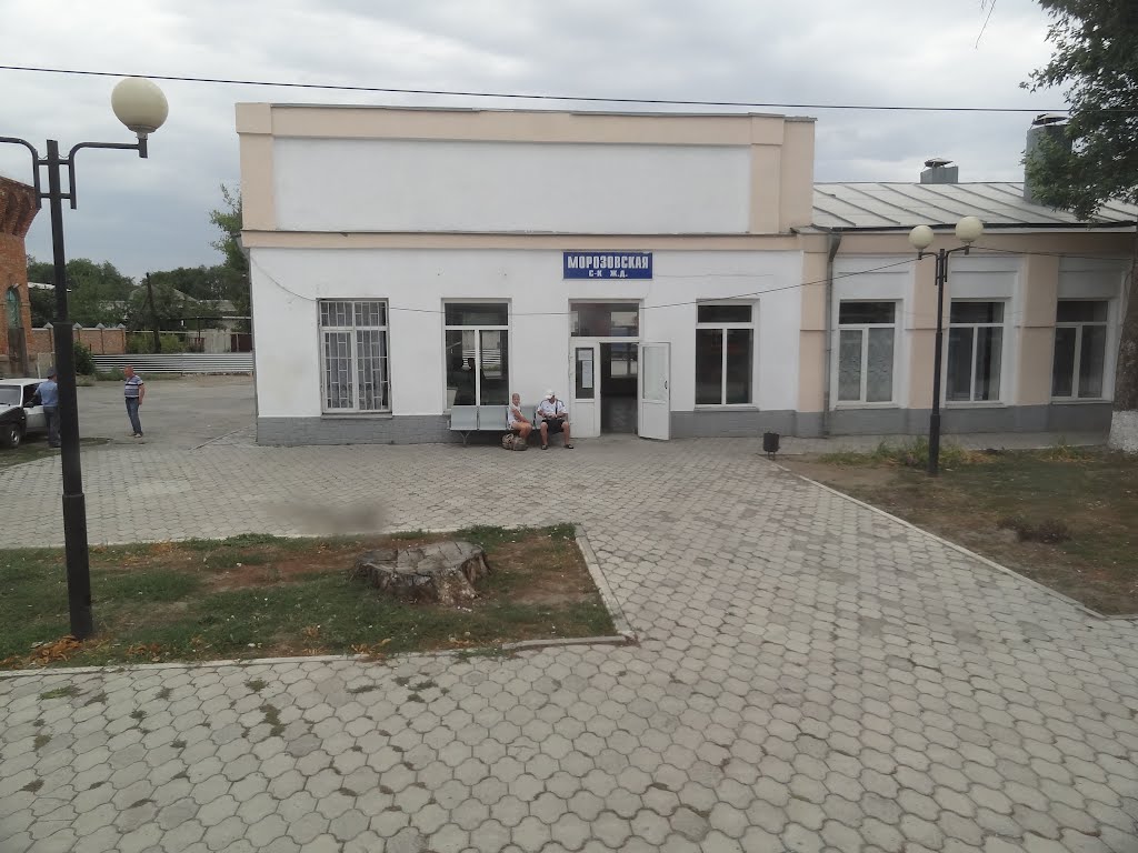 Станция Морозовская