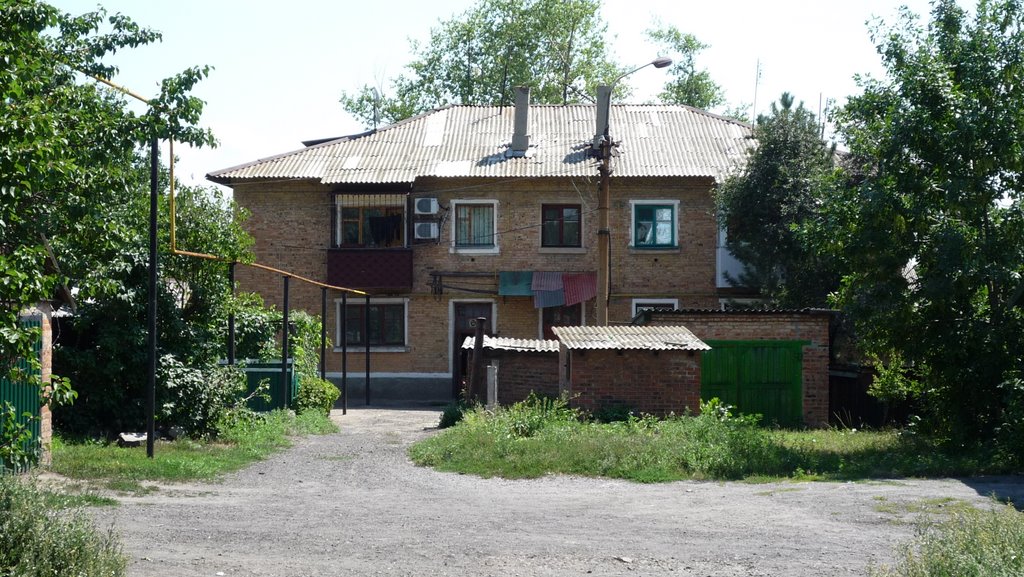 лето 2008