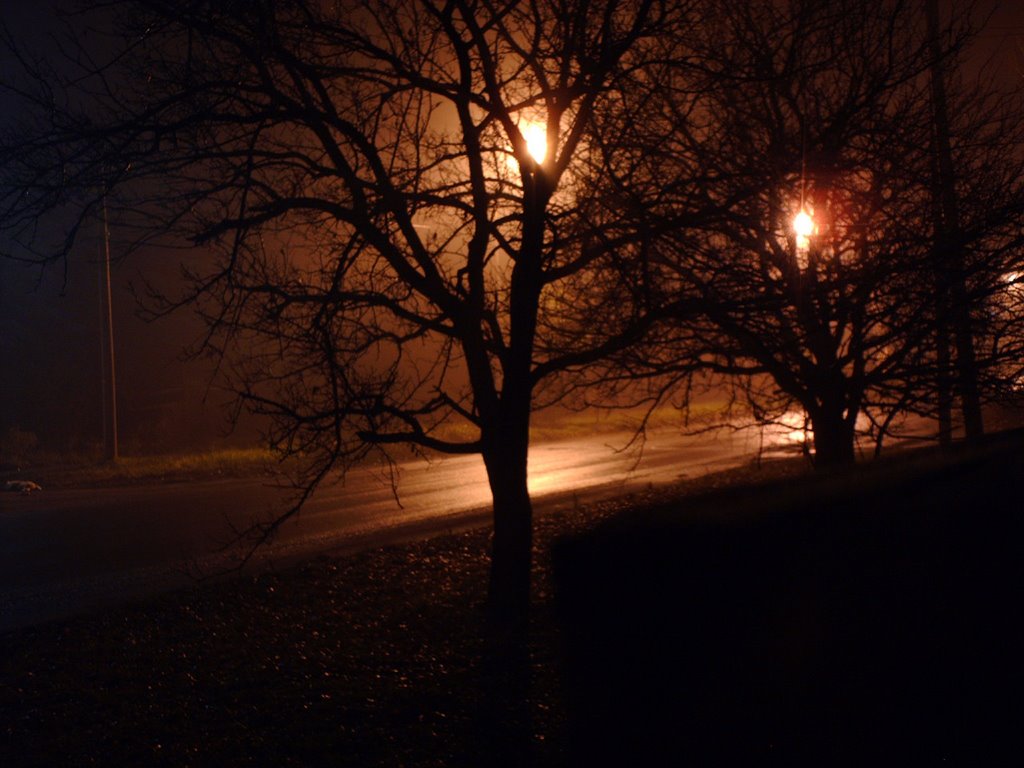 darkshahtinsk