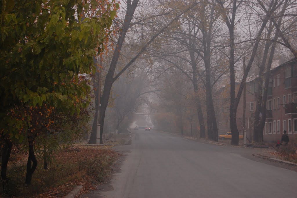 ул. Городская