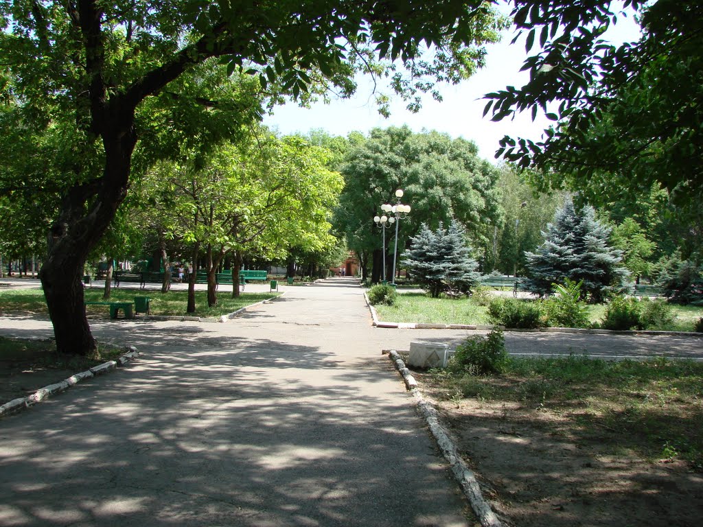 Городской парк.