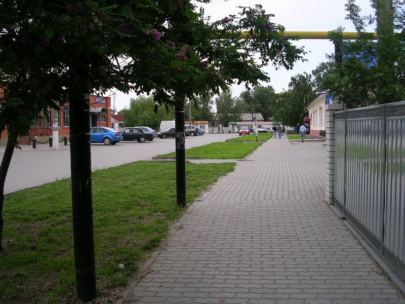 Центр станицы