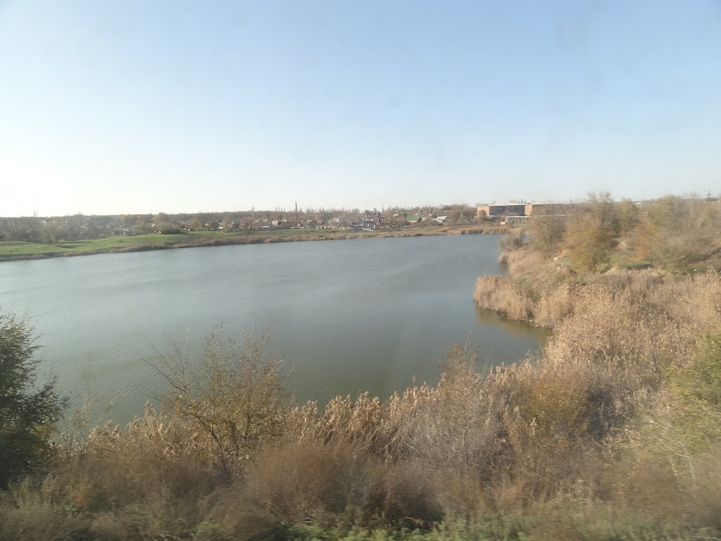 DSC01980.JPG