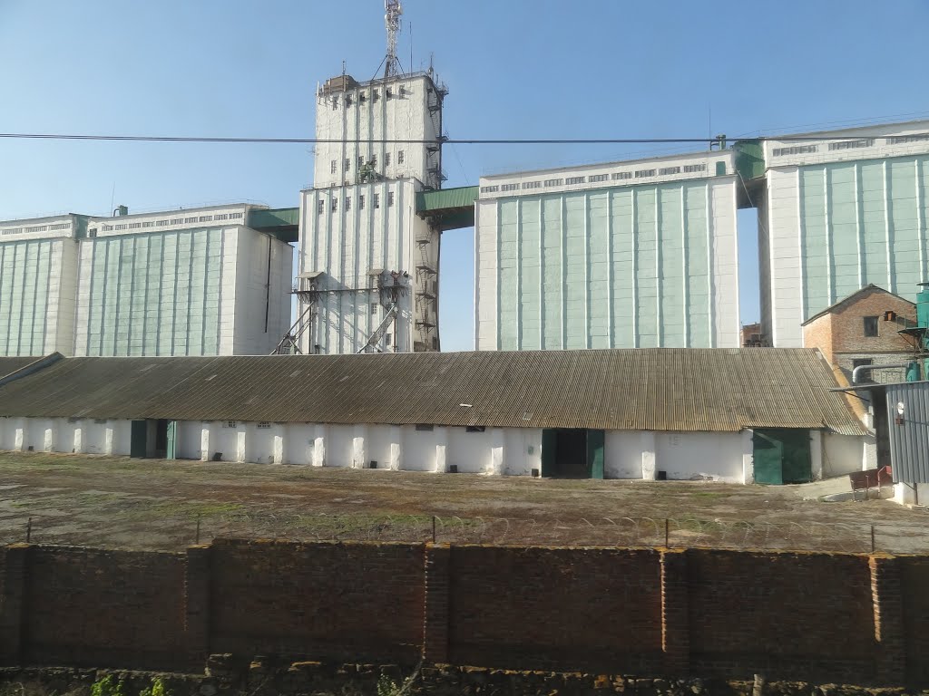 Элеватор