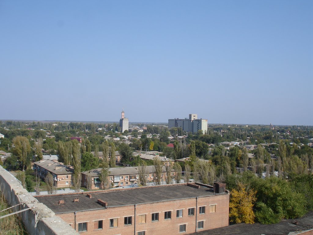 Утопающий в зелени