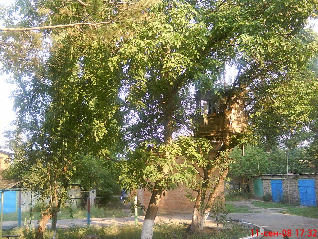 Двор