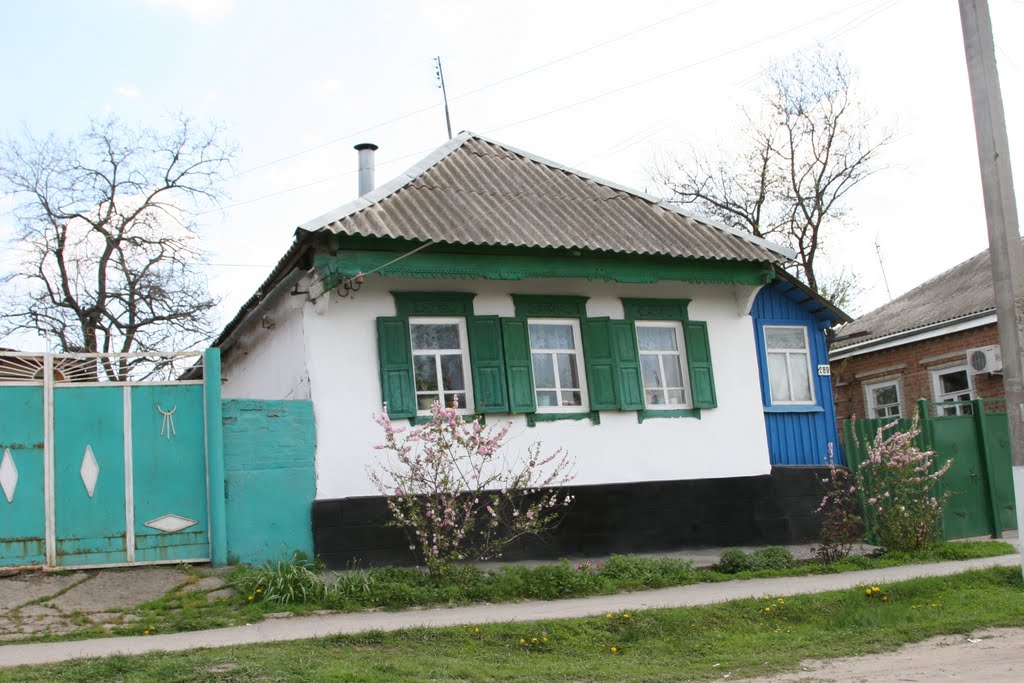 Домовладение в селе Покровском
