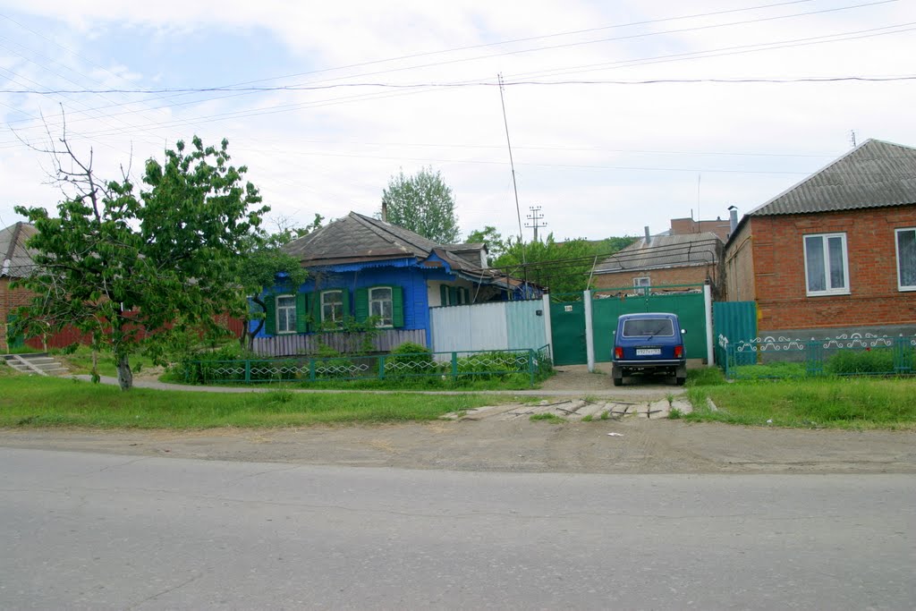 Сказочный домик. с. Покровское. Лето 2010.