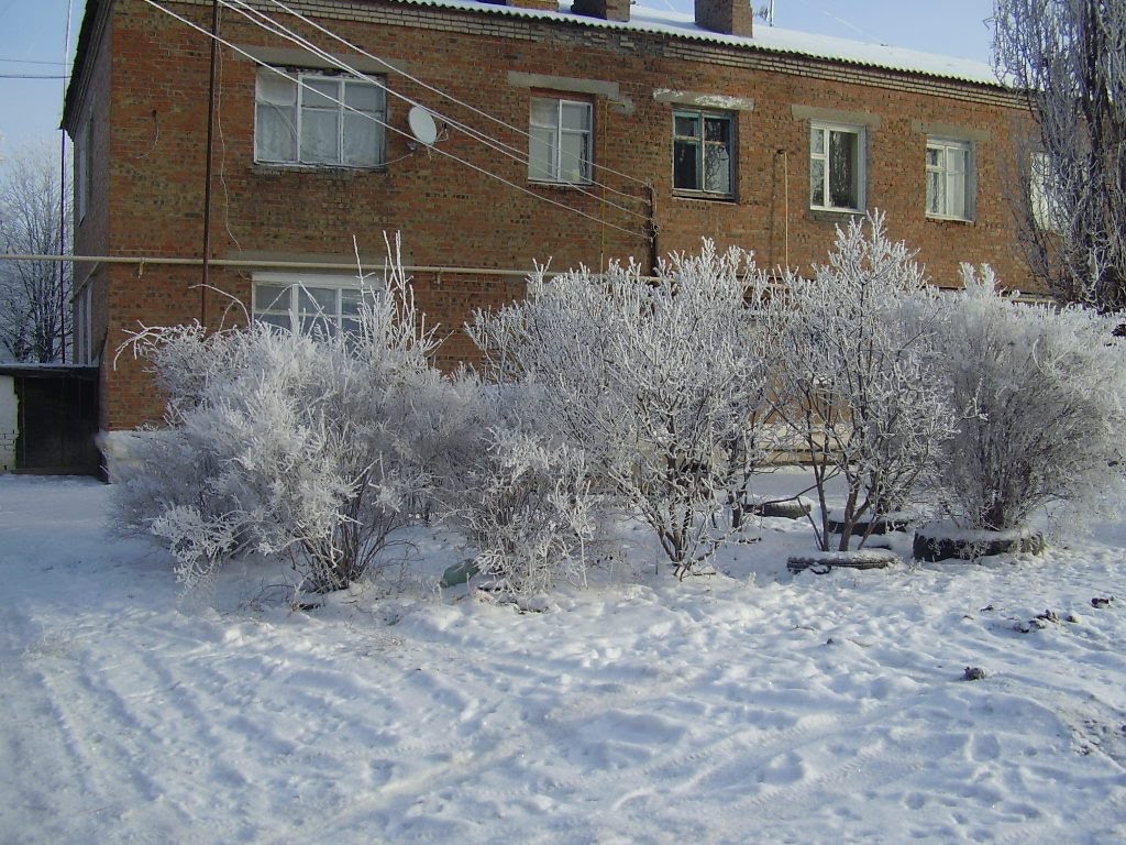 Зима в Покровском ул. О. Кошевого