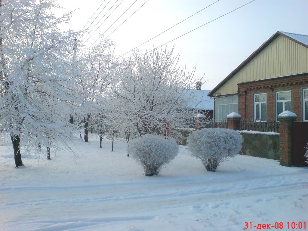 Зима
